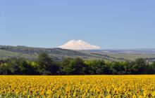 4257132 кбп газета последний номер