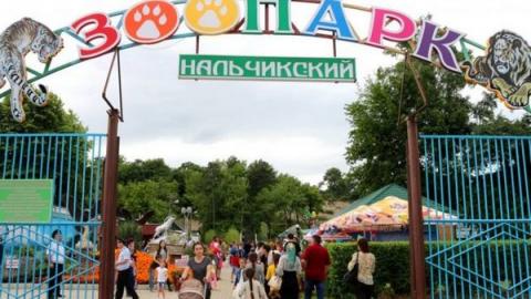 Нальчикский зоопарк получил лицензию Россельхознадзора