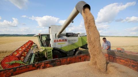 Кабардино-Балкария отгрузила в регионы более 184 тыс. тонн зерна, семян кукурузы и яблок