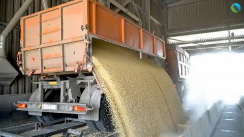 В КБР завезли более 2,5 тысяч тонн семян сельхозкультур